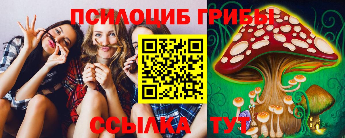 Галлюциногенные грибы Psilocybine cubensis  Вход с VPN  наркота  Карачаевск  Галлюциногенные грибы Cubensis 