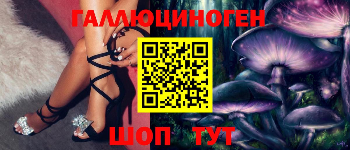 Псилоцибиновые грибы Psilocybe Карачаевск