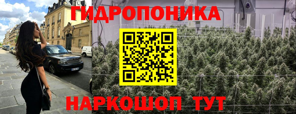 Бошки Шишки сатива  Вход с VPN  Карачаевск  Бошки Шишки Ganja  Бошки Шишки VHQ 